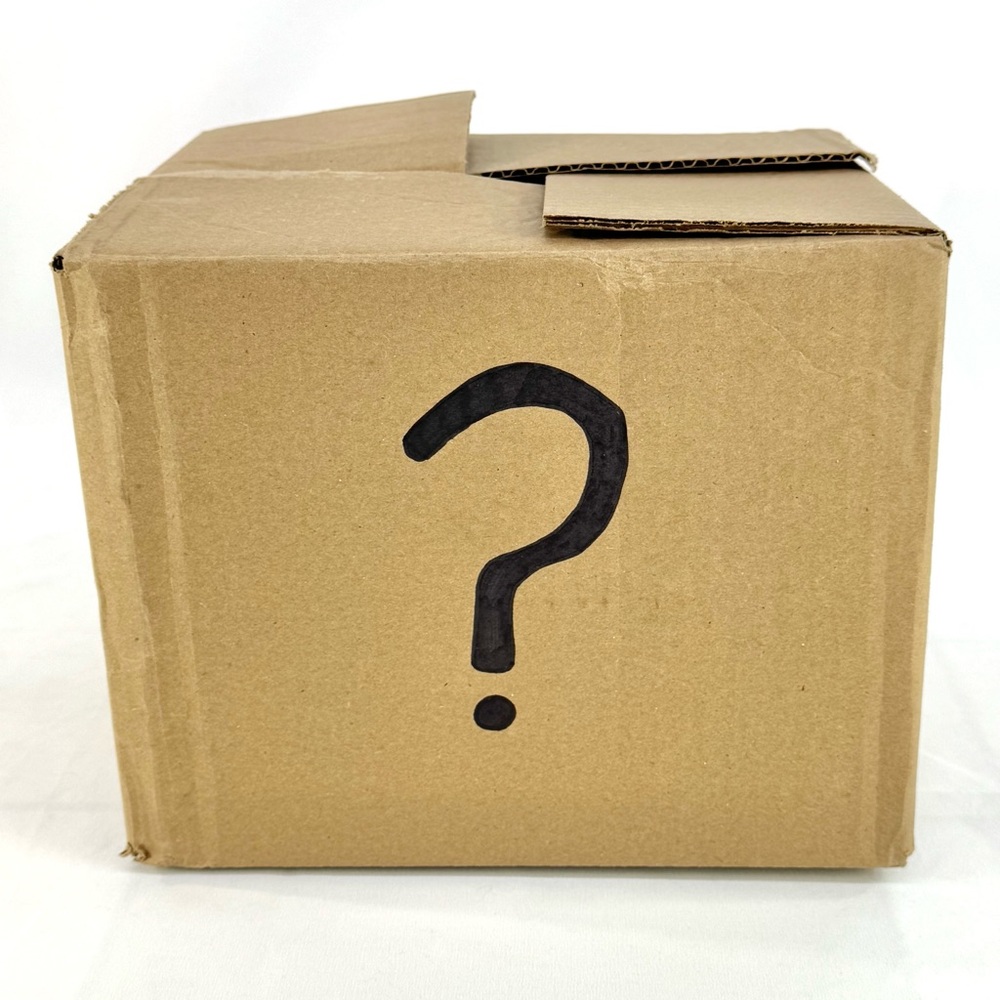 All Torrid Item 4X witchy themed mystery box